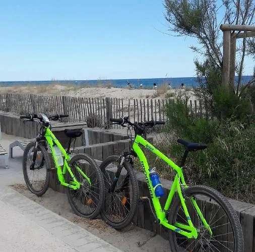 Superbe T3 Recent 67 M2, Gde Terrasse, 3km Plage, Vue Canigou, Parking Et Box Privatif Διαμέρισμα *